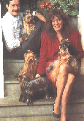 ANTICHE MURA &mdash; Labaza DogPedigree YorkshireTerrier